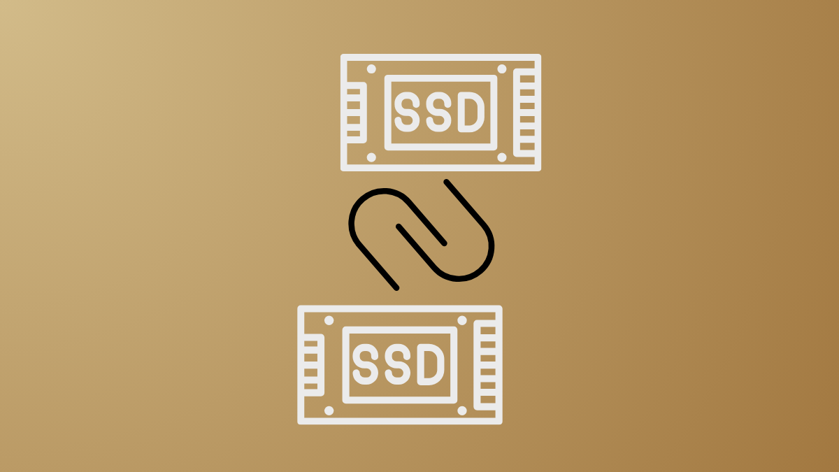 在 Windows 11 上合并两个不同的 SSD